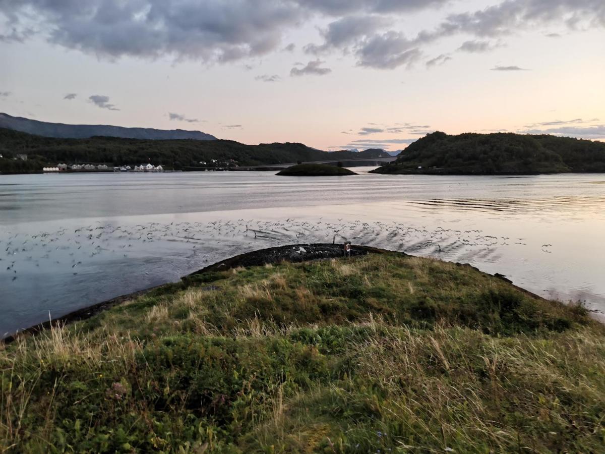 Sokkelleilighet Rett Ved Saltstraumen Bodø Extérieur photo
